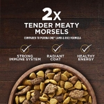 Purina ONE True Instinct With A Blend Of Real Turkey and Venison Dry Dog Food - 15 lb. Bag - Image 10