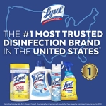 Lysol Neutraair Disinfectant Spray, 2 In 1: Eliminates Odors and Disinfects, Air Freshener & Disinfecting Spray, Driftwood Waters, 10 Fl Oz. - Image 2