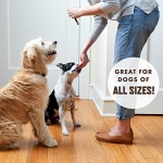 Rocco & Roxie Jerky Dog Treats Made in USA Healthy Treats for Potty Training High Value Real Meat Slow Roasted Snacks for Small, Medium & Large Dogs & Puppies Soft Chews, 1 Pound (Pack of 1) - Image 3