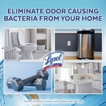 Lysol Neutraair Disinfectant Spray, 2 In 1: Eliminates Odors and Disinfects, Air Freshener & Disinfecting Spray, Driftwood Waters, 10 Fl Oz. - Image 4