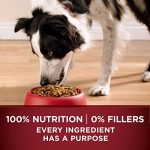 Purina ONE True Instinct With A Blend Of Real Turkey and Venison Dry Dog Food - 15 lb. Bag - Image 5