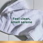 Irish Spring Icy Blast Bar Soap for Men, Mens Soap, Smell Fresh and Clean 12 Hours, Men Bars Washing Hands Body, Mild Skin, Recyclable Carton, 24 Pack, 3.7 Oz - Image 8