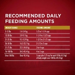 Purina ONE True Instinct With A Blend Of Real Turkey and Venison Dry Dog Food - 15 lb. Bag - Image 4