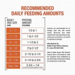 Purina Moist and Meaty Burger With Cheddar Cheese Flavor Dry Soft Dog Food Pouches - 36 ct. Pouch - Image 5