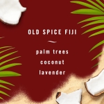 Febreze Car Air Freshener Vent Clip Old Spice Fiji Scent, .07 oz. Car Vent Clip, Pack of 4 - Image 4