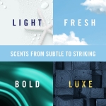 Febreze Unstopables Car Odor-Fighting Car Freshener Vent Clip Fresh Scent, .07 oz. Car Vent Clip, Pack of 4 (Packaging may vary) - Image 2