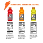 Gatorade Thirst Quencher Sports Drink, Variety Pack, 20oz Bottles, 12 Pack, Electrolytes for Rehydration - Image 7