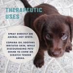 Rocco & Roxie No Chew Spray for Dogs, More Yuck Than Bitter Apple, Dog Training & Behavior Aids to Stop Chewing, Best Alcohol-Free Anti Chew, Puppy Deterrent Formula for Puppies and Cats - Image 2