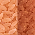 SWEDISH FISH Mini Glow Ups Strawberry-Watermelon Soft & Chewy Candy, 12-3.08 oz Bags - Image 13