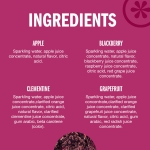 IZZE Sparkling Juice Beverage Blend, Variety Pack, Blackberry, Clementine, Apple, Grapefruit, No Sugar Added, 8.4 FL OZ, 24 Cans - Image 3