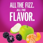 IZZE Sparkling Juice Beverage Blend, Variety Pack, Blackberry, Clementine, Apple, Grapefruit, No Sugar Added, 8.4 FL OZ, 24 Cans - Image 8