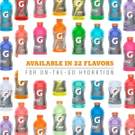 Gatorade Original Thirst Quencher 3-Flavor Frost Variety Pack, 20 Fl Ounce - Pack of 12 - Image 4