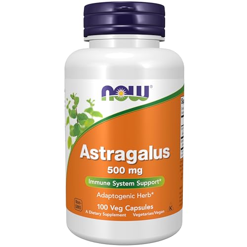 Version 1.0.0 Astragalus 500 mg, Immune System Support, 100 Capsules - Image 1