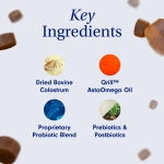 Allergy & Immune Daily Probiotics for Dogs. Supports Yeast Production - Image 5