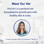 Itch Relief Chew Pro for Dogs – Omega 3 for Dogs Itch Supplement - Image 7