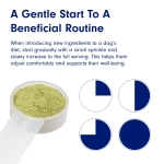 ProBright Advanced Dental Powder - Dog Breath Freshener - Teeth Cleaning Made Easy - Image 2