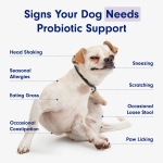 Probiotics for Dogs, Support Gut Health, Occasional Diarrhea, Digestive Health - Image 5