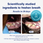 ProBright Advanced Dental Powder - Dog Breath Freshener - Teeth Cleaning Made Easy - Image 6